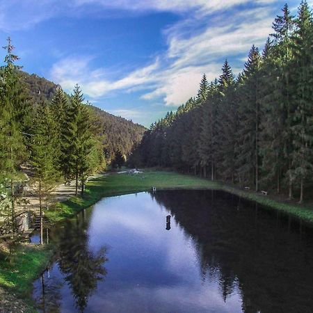 Chata Patuch Babkov Exteriér fotografie